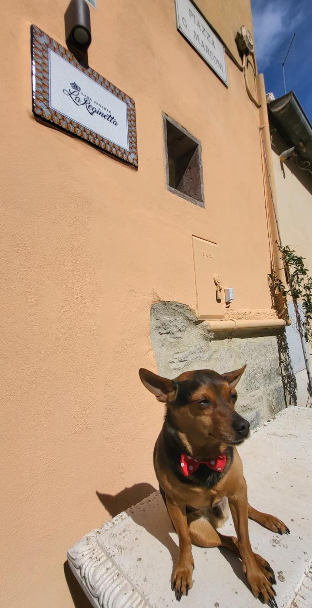 La Reginetta Holiday Home Tuoro sul Trasimeno Exterior foto